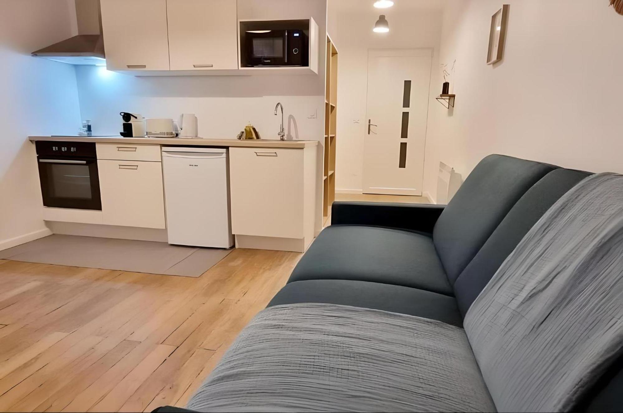 Large Studio Lumineux Et Neuf, Parking Gratuit Шатору Экстерьер фото